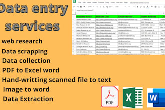 do fast excel data entry and web research, copy paste and data scraping