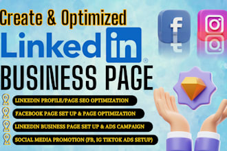 create and optimized linkedin business profile, or facebook meta ads campaign