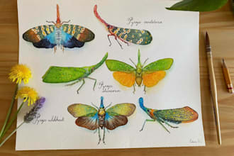 paint you an entomology watercolor and scan it
