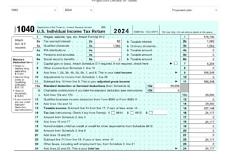 file your 1040, 1065, 1120 returns