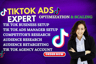 setup and manage your tiktok shop connect with ecommerce store ads campaign