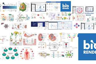 design your scientific figures and illustration, graphical abstract on biorender