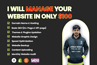 provide wordpress website maintenance, update, and support