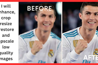 enhance, crop resize ,restore and upscale low quality images