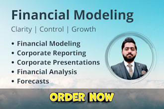 build financial analysis, projections and forecasts