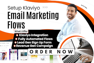set up klaviyo email marketing, template design, campaigns and shopify audits