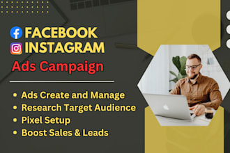 set up profitable facebook ads and instagram ads campaign