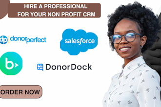 setup donorperfect blackbaud donordock bloomrang salsa CRM for your non profit