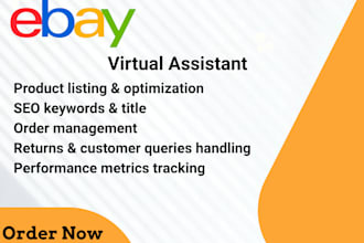 be your ebay virtual assistant, ebay 2 step dropshipping