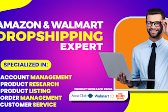 walmart to amazon dropshipping, walmart wfs research, ebay two step dropshiping