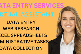 be your virtual assistant for data entry, web research