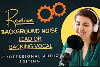 do remove noise from audio or video