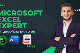 fast data entry and PDF to word expert and anything ms word
