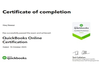 do professional quickbooks online setup, customization and cleanup