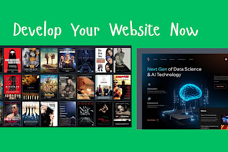 develop any custom website or functionality, frontend or backend API