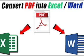 do excel, word data entry typing job, pdf to word excel