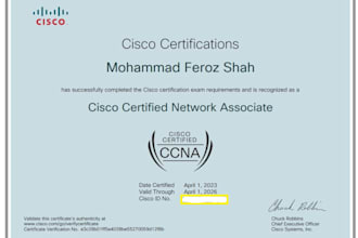 your network engineer, network design, troubleshooting, cisco and huwaei device