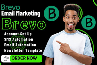 do brevo email campaign template, brevo newsletter workflow, automation expert