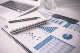provide professional finance and accounting services for your business needs