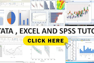 offer tutoring stata , excel, spss