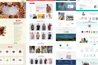 develop a responsive wordpress website