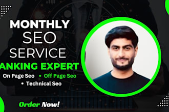 do complete monthly seo service for google high ranking on wordpress
