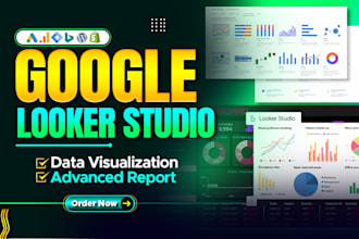 make attractive google looker studio dashboards reporting from any platfrom