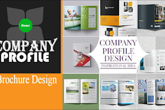 create eye catchy booklet,company profile, brochure,flyer,annual report,proposal