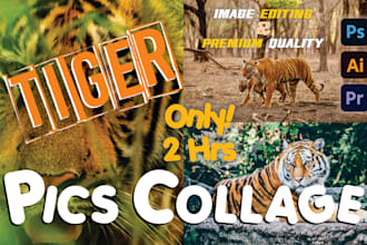 do professional photo editing and vector tracing