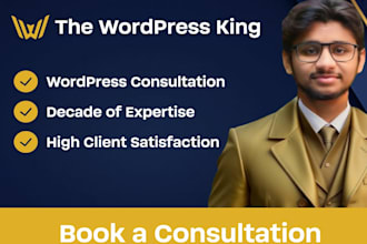 be your wordpress expert consultant, guru, mentor, teacher, trainer, coach