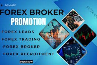 promote your forex broker website generate leads forex trader signup organically