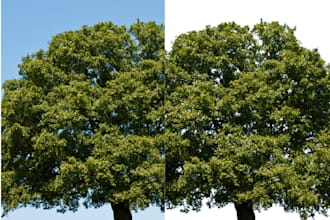 remove the background of images