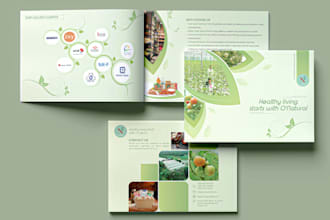 design a professional brochure or  product catalog