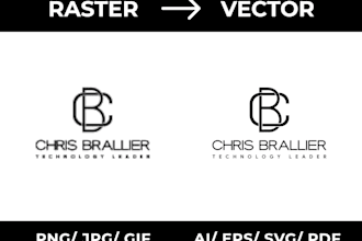 do low resolution logo to high quality vector version