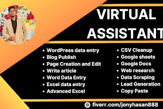 be virtual assistant for wordpress, article, excel, csv, google sheets, docs
