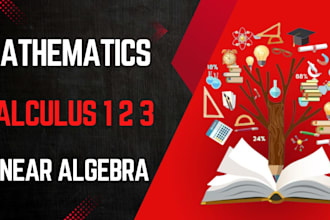 teach math calculus 1 2 3 algebra 1 2 discrete math vector algebra
