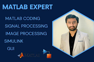 do matlab, simulink, machine learning and python projects