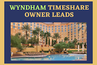 provide bulk wyndham timeshare owner leads