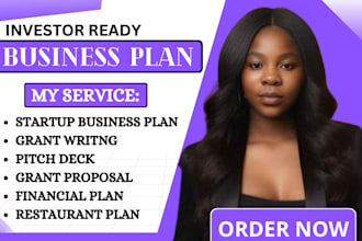 prepare a topnotch business plan, proposal pitch deck financial analysis, grants