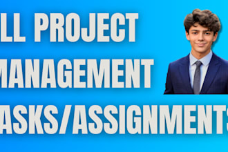 complete any project management assignment raci, gantt, charts, overviews