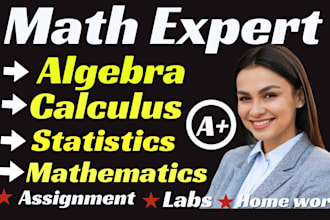 help in mathematics, statistics calculus algebra probability advance math tutor