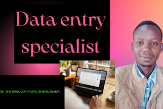 enter information into databases, spreadsheets or any other systems