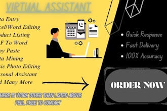 be virtual assistant,data entry,customer support,admin tasks