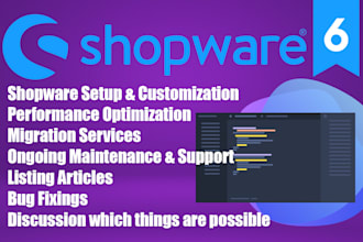 provide shopware support and consulting
