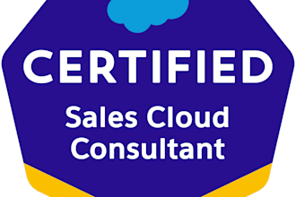 be your personal salesforce consultant