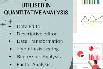 perform expert data analysis and visualization using excel, spss, and stata