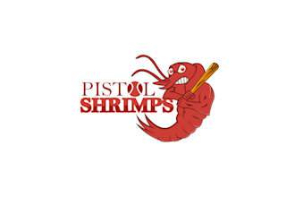 design a business mascot, sports, or esports logo