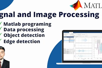 do matlab simulink programming, signal and image processing