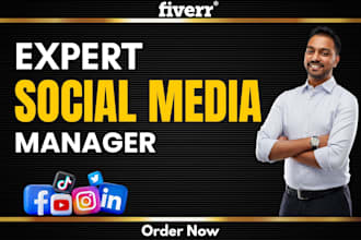 be your social media marketing manager and meta marketing content creator