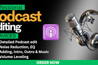 professionally edit podcast shorts video and audio, zoom podcast editing